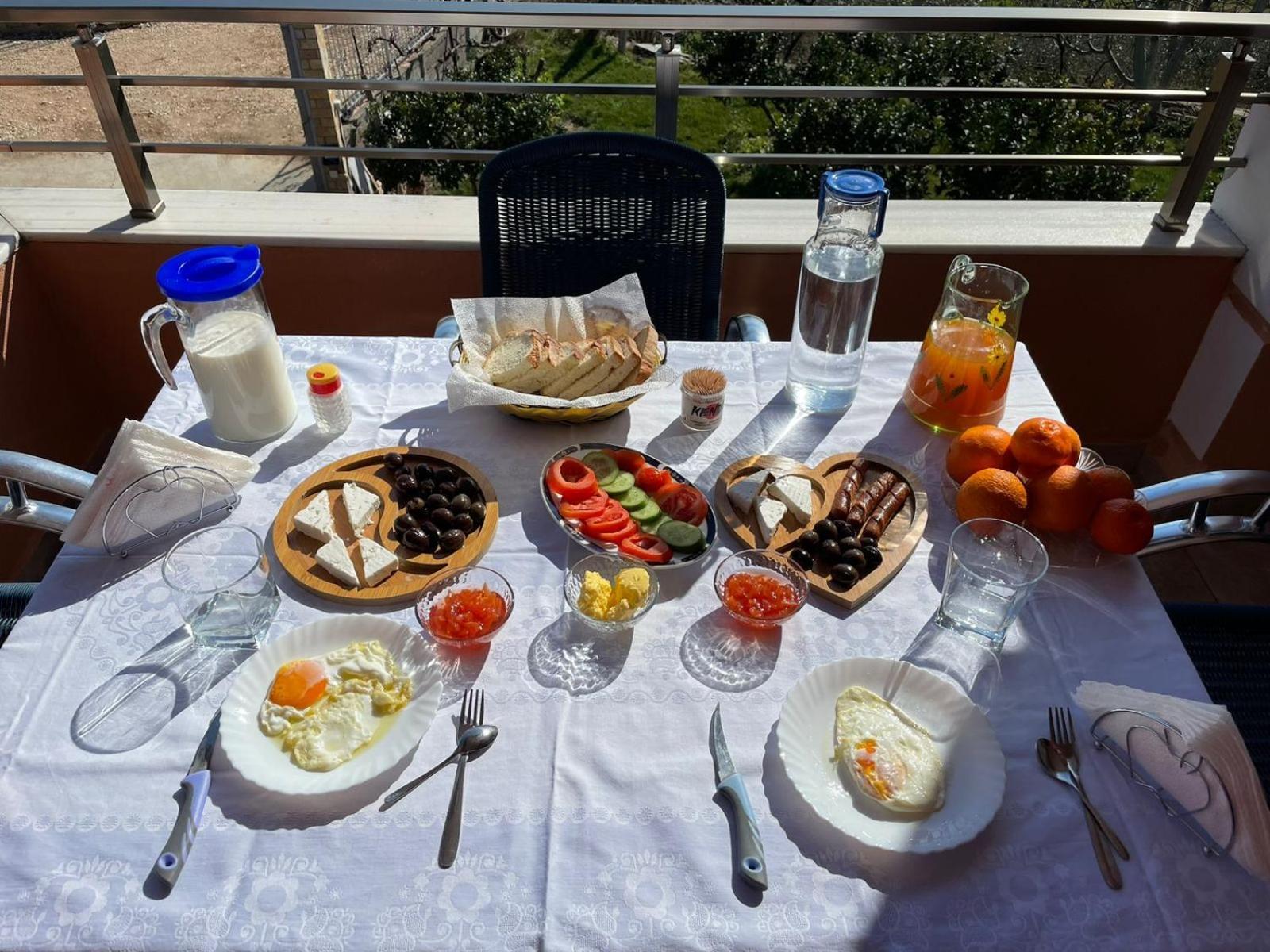 Harmony Villa Berat Exterior photo