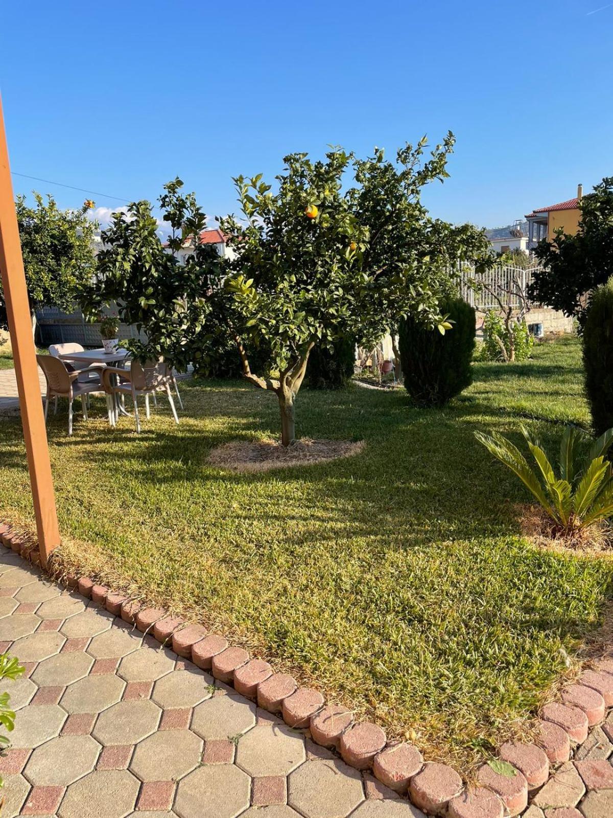 Harmony Villa Berat Exterior photo